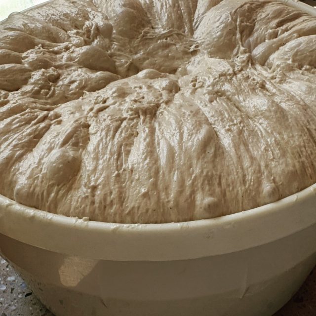 The secret to making the best bread is the extra virgin olive oil in the dough. 

#bread #artisanbread #eatorganic #food #foodporn #foodie #eatclean #eatmelbourne #eatorganic