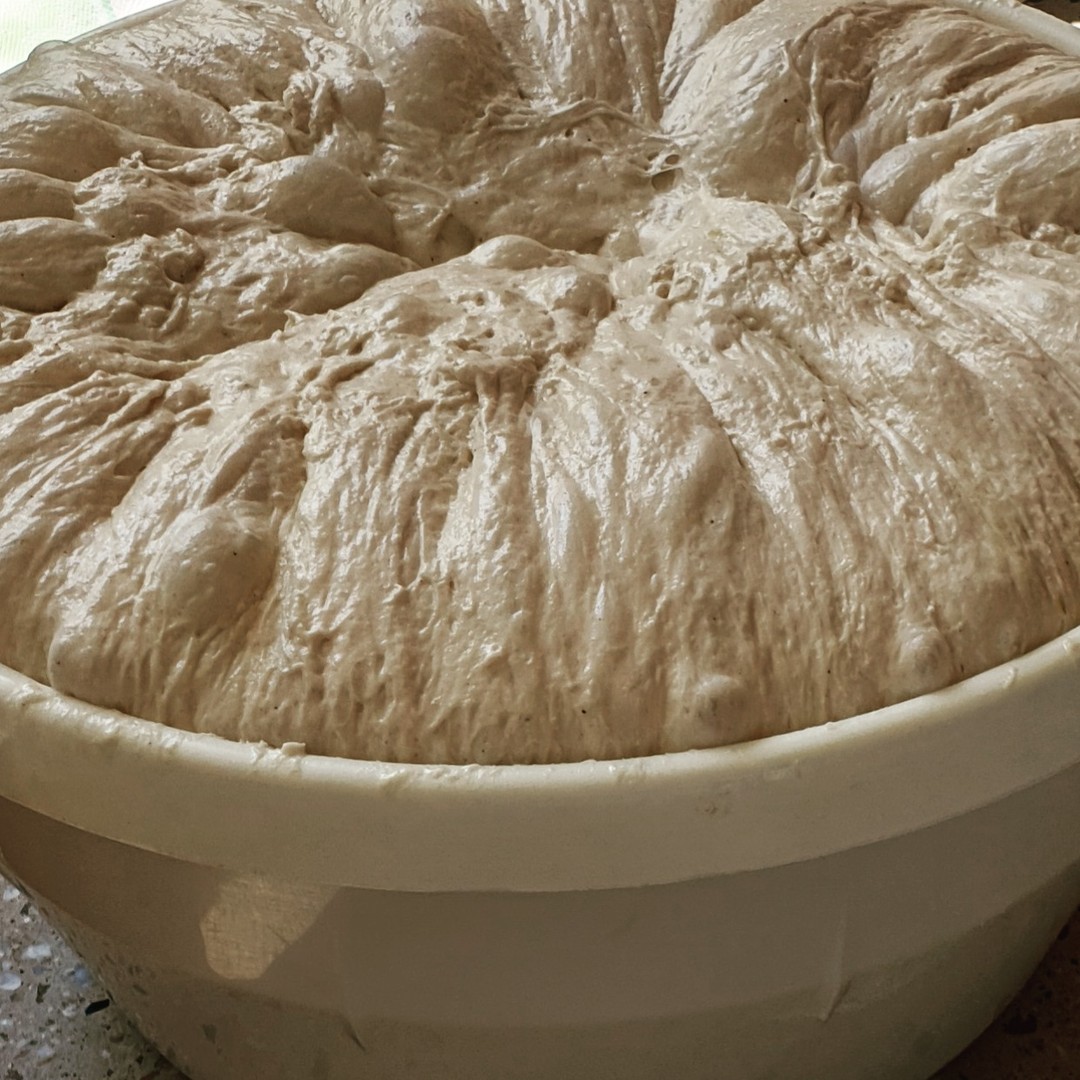 The secret to making the best bread is the extra virgin olive oil in the dough. 

#bread #artisanbread #eatorganic #food #foodporn #foodie #eatclean #eatmelbourne #eatorganic