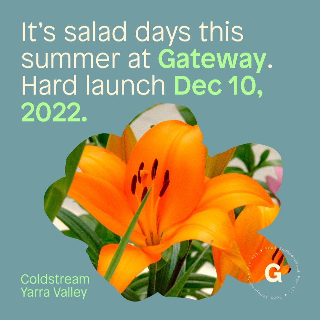 Yarra Valley Gateway Estate is having its "Hard Launch" on 10th December. Experience the café for some lunch, or try some of the many samples from the suppliers or pick your own produce from the U-Pick area. It will be a fun day for all. See you there !
#eathealthy #eatclean #eatyarravalley #yarravalley #foodie